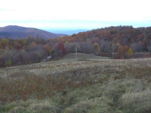 Near Max Patch, October, 2012